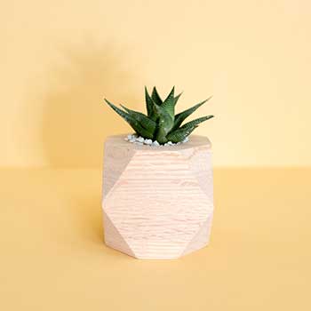 云端备份安全的怎么去攻击一个网站与防护